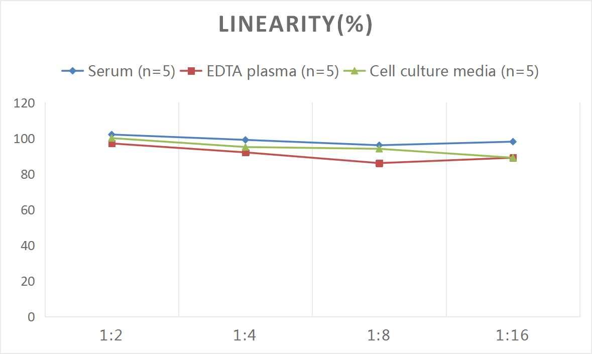 ELISA: Rat LOX-1/OLR1 ELISA Kit (Colorimetric) [NBP2-81151] - Samples were spiked with high concentrations of Rat LOX-1/OLR1 and diluted with Reference Standard & Sample Diluent to produce samples with values within the range of the assay.