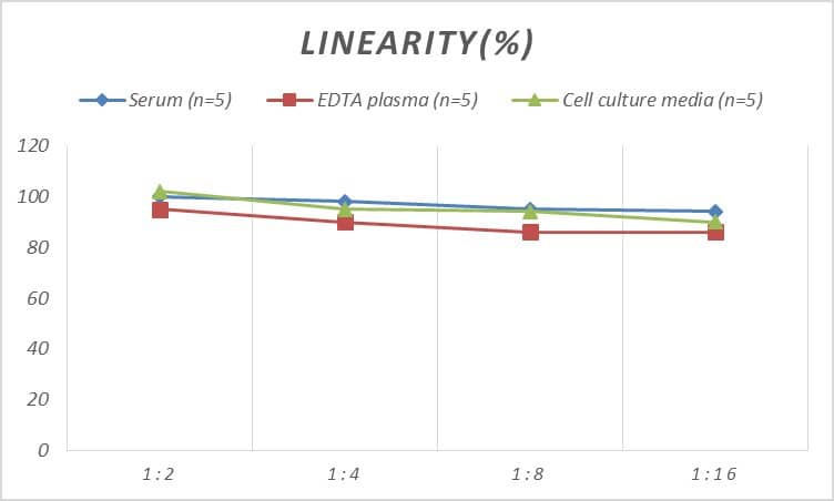 ELISA: Human Muscarinic Acetylcholine Receptor M1/CHRM1 ELISA Kit (Colorimetric) [NBP2-81154] - Samples were spiked with high concentrations of Human Muscarinic Acetylcholine Receptor M1/CHRM1 and diluted with Reference Standard & Sample Diluent to produce samples with values within the range of the assay.