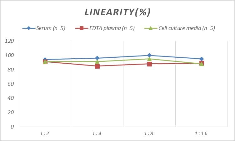 ELISA: Human Muscarinic Acetylcholine Receptor M3/CHRM3 ELISA Kit (Colorimetric) [NBP2-81155] - Samples were spiked with high concentrations of Human Muscarinic Acetylcholine Receptor M3/CHRM3 and diluted with Reference Standard & Sample Diluent to produce samples with values within the range of the assay.
