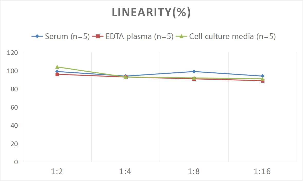 ELISA: Mouse Tau ELISA Kit (Colorimetric) [NBP2-81163] - Samples were spiked with high concentrations of Mouse Tau and diluted with Reference Standard & Sample Diluent to produce samples with values within the range of the assay.