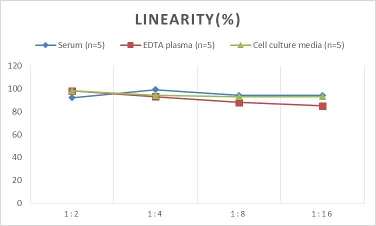 ELISA: Rat N-Cadherin ELISA Kit (Colorimetric) [NBP2-81179] - Samples were spiked with high concentrations of Rat N-Cadherin and diluted with Reference Standard & Sample Diluent to produce samples with values within the range of the assay.