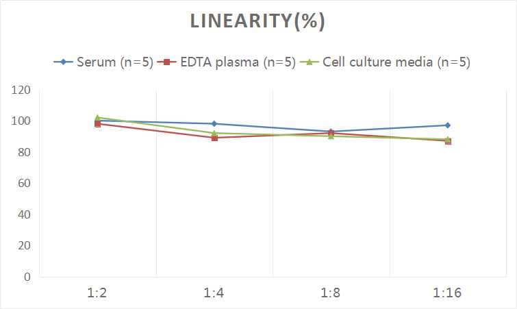 ELISA Human NF-L ELISA Kit (Colorimetric)