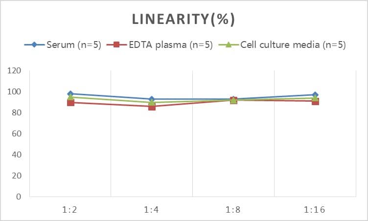 ELISA Rat NF-L ELISA Kit (Colorimetric)