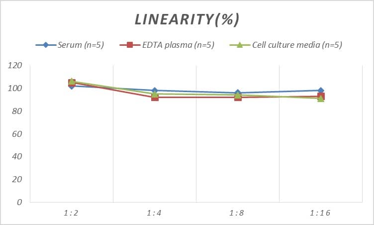 ELISA Human OCT1 ELISA Kit (Colorimetric)