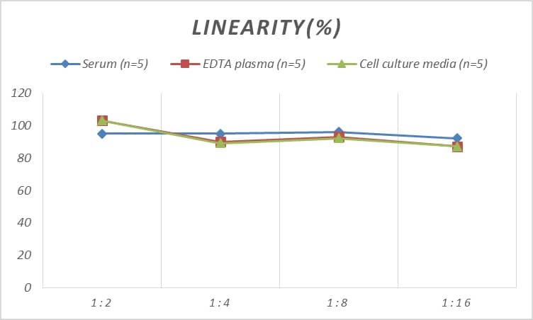 ELISA: Mouse OCT1 ELISA Kit (Colorimetric) [NBP2-81191] - Samples were spiked with high concentrations of Mouse 45566 and diluted with Reference Standard & Sample Diluent to produce samples with values within the range of the assay.