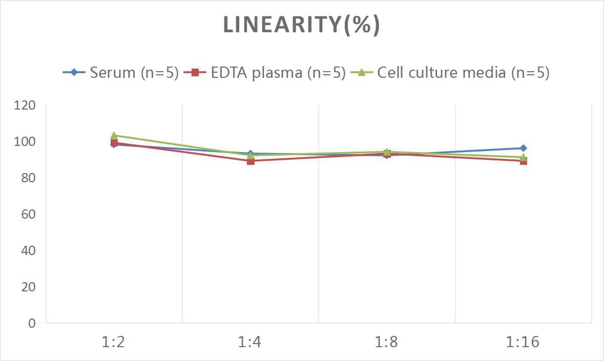 ELISA: Mouse Procollagen Type 1 C-Terminal Propeptide ELISA Kit (Colorimetric) [NBP2-81198] - Samples were spiked with high concentrations of Mouse Procollagen Type 1 C-Terminal Propeptide and diluted with Reference Standard & Sample Diluent to produce samples with values within the range of the assay.