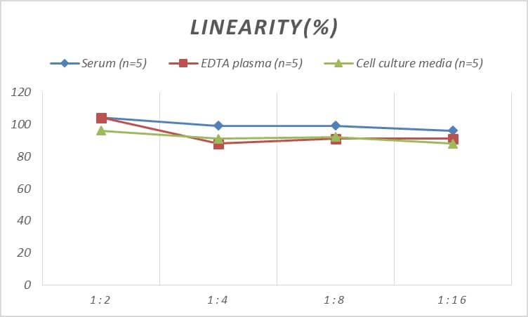 ELISA: Rat Procollagen Type 2 C-Terminal Propeptide ELISA Kit (Colorimetric) [NBP2-81200] - Samples were spiked with high concentrations of Rat Procollagen Type 2 C-Terminal Propeptide and diluted with Reference Standard & Sample Diluent to produce samples with values within the range of the assay.
