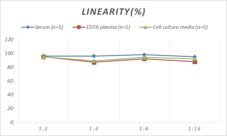 ELISA: Rat Procollagen Type 2 N-Terminal Propeptide ELISA Kit (Colorimetric) [NBP2-81202] - Samples were spiked with high concentrations of Rat Procollagen Type 2 N-Terminal Propeptide and diluted with Reference Standard & Sample Diluent to produce samples with values within the range of the assay.