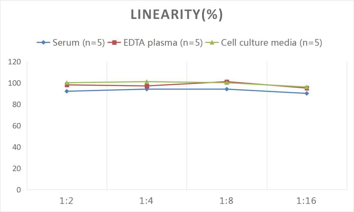 ELISA: Human Podocalyxin Like ELISA Kit (Colorimetric) [NBP2-81214] - Samples were spiked with high concentrations of Human Podocalyxin Like and diluted with Reference Standard & Sample Diluent to produce samples with values within the range of the assay.