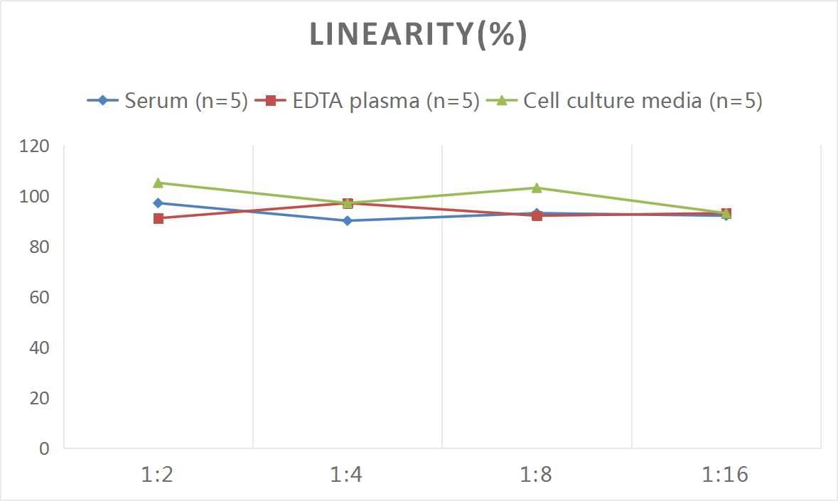 ELISA: Mouse Podocalyxin Like ELISA Kit (Colorimetric) [NBP2-81215] - Samples were spiked with high concentrations of Mouse Podocalyxin Like and diluted with Reference Standard & Sample Diluent to produce samples with values within the range of the assay.