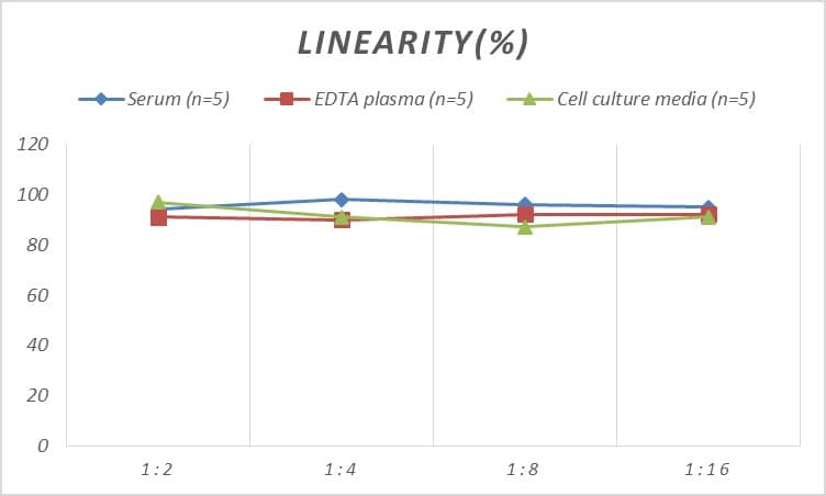 ELISA: Rat Podocalyxin Like ELISA Kit (Colorimetric) [NBP2-81216] - Samples were spiked with high concentrations of Rat Podocalyxin Like and diluted with Reference Standard & Sample Diluent to produce samples with values within the range of the assay.