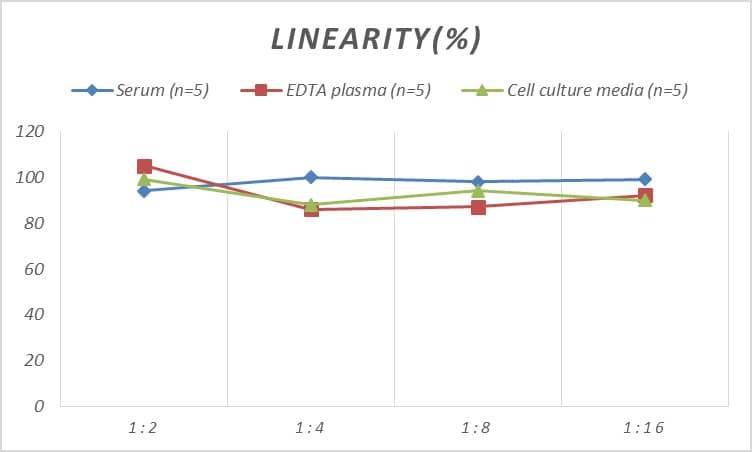 ELISA: Mouse Pyruvate Dehydrogenase E1-alpha subunit ELISA Kit (Colorimetric) [NBP2-81219] - Samples were spiked with high concentrations of Mouse Pyruvate Dehydrogenase E1-alpha subunit and diluted with Reference Standard & Sample Diluent to produce samples with values within the range of the assay.