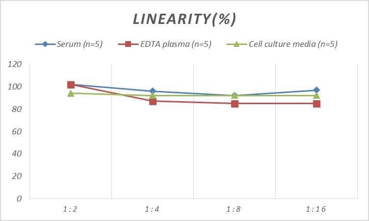 ELISA: Human PDIA6 ELISA Kit (Colorimetric) [NBP2-81230] - Samples were spiked with high concentrations of Human PDIA6 and diluted with Reference Standard & Sample Diluent to produce samples with values within the range of the assay.