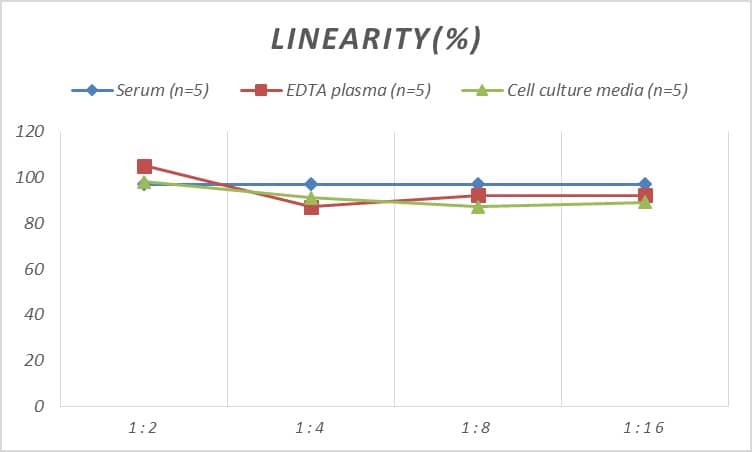 ELISA: Mouse PDK4 ELISA Kit (Colorimetric) [NBP2-81232] - Samples were spiked with high concentrations of Mouse PDK4 and diluted with Reference Standard & Sample Diluent to produce samples with values within the range of the assay.