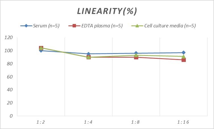 ELISA: Rat PDK4 ELISA Kit (Colorimetric) [NBP2-81233] - Samples were spiked with high concentrations of Rat PDK4 and diluted with Reference Standard & Sample Diluent to produce samples with values within the range of the assay.