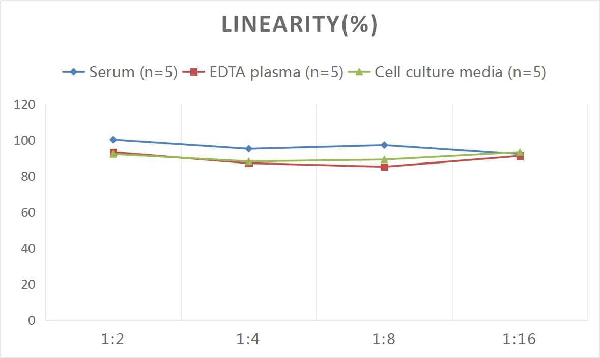 ELISA Human Podoplanin ELISA Kit (Colorimetric)