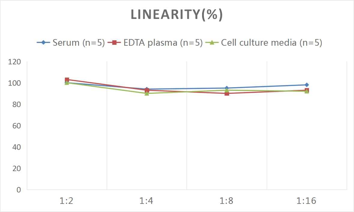 ELISA Rat Procollagen Type 1 C-Terminal Propeptide ELISA Kit (Colorimetric)