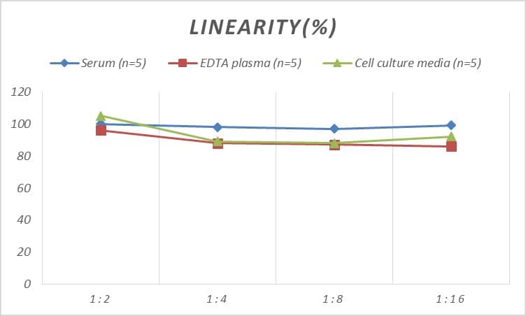 ELISA: Human PLOD3 ELISA Kit (Colorimetric) [NBP2-81259] - Samples were spiked with high concentrations of Human PLOD3 and diluted with Reference Standard & Sample Diluent to produce samples with values within the range of the assay.