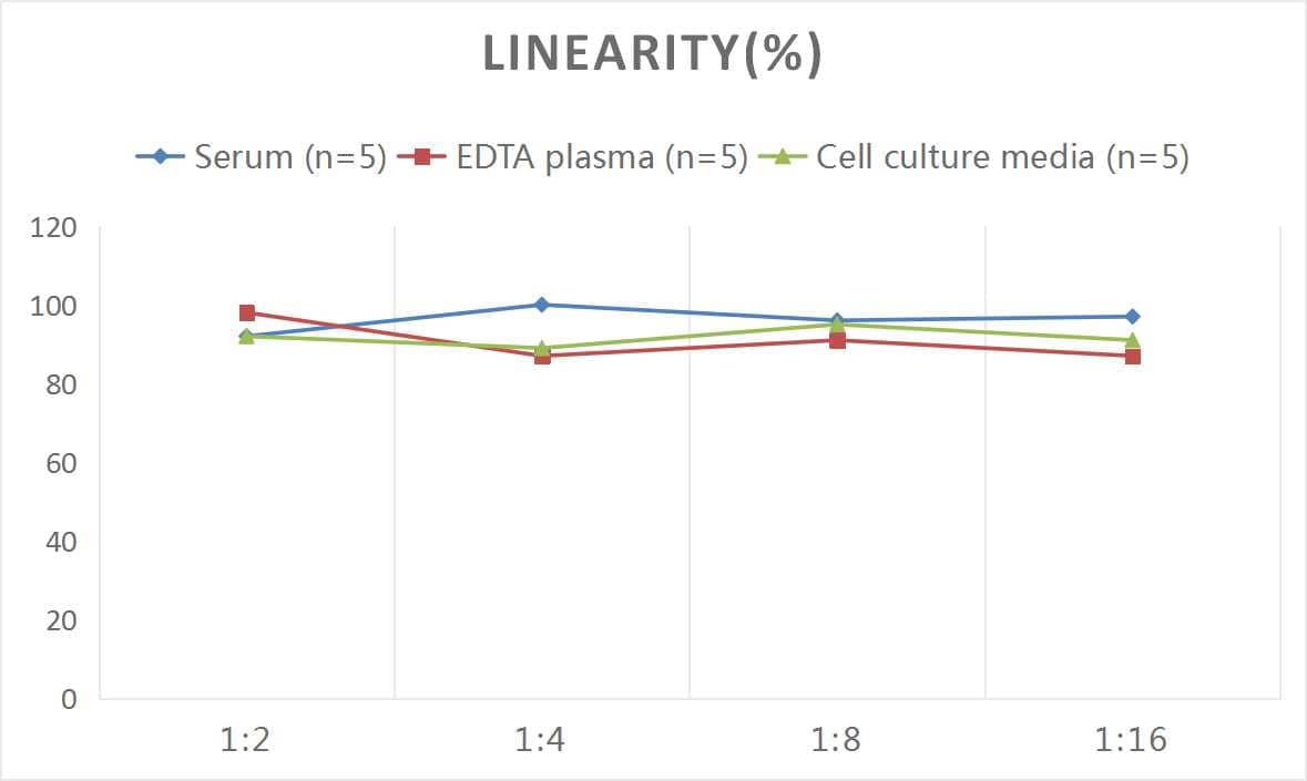 ELISA: Human PON1 ELISA Kit (Colorimetric) [NBP2-81261] - Samples were spiked with high concentrations of Human PON1 and diluted with Reference Standard & Sample Diluent to produce samples with values within the range of the assay.