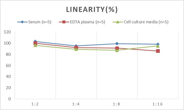 ELISA: Rat PON1 ELISA Kit (Colorimetric) [NBP2-81262] - Samples were spiked with high concentrations of Rat PON1 and diluted with Reference Standard & Sample Diluent to produce samples with values within the range of the assay.