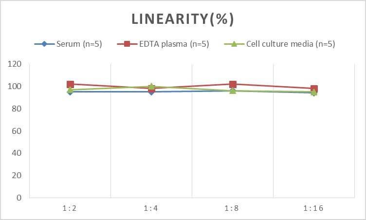 ELISA: Rabbit Procollagen Type 1 C-Terminal Propeptide ELISA Kit (Colorimetric) [NBP2-81265] - Samples were spiked with high concentrations of Rabbit Procollagen Type 1 C-Terminal Propeptide and diluted with Reference Standard & Sample Diluent to produce samples with values within the range of the assay.