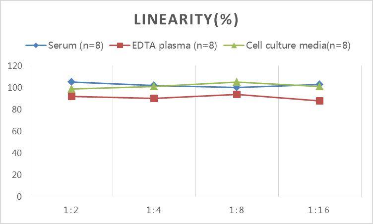 ELISA: Rat Apolipoprotein E/ApoE ELISA Kit (Colorimetric) [NBP2-82119] - Samples were spiked with high concentrations of Rat Apolipoprotein E/ApoE and diluted with Reference Standard & Sample Diluent to produce samples with values within the range of the assay.