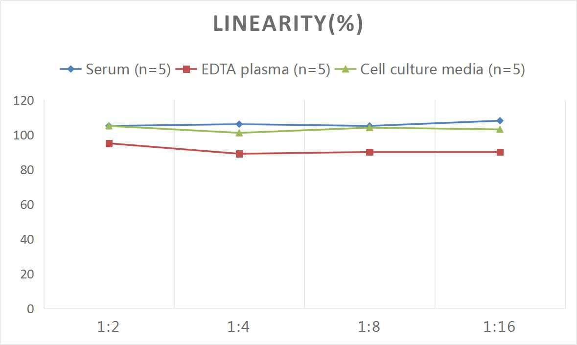 ELISA: Mouse C-Peptide ELISA Kit (Colorimetric) [NBP2-82124] - Samples were spiked with high concentrations of Mouse C-Peptide and diluted with Reference Standard & Sample Diluent to produce samples with values within the range of the assay.