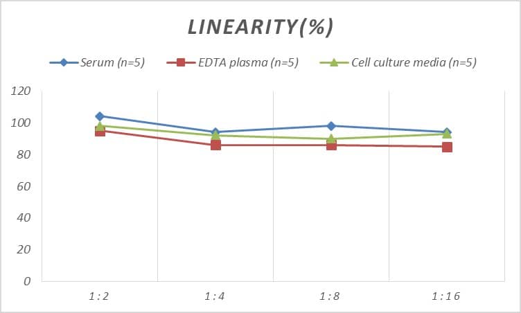 ELISA Rat Apolipoprotein C1 ELISA Kit (Colorimetric)