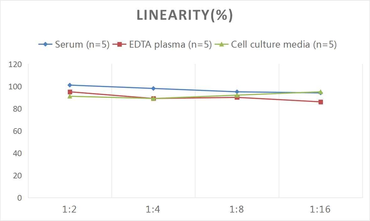 ELISA: Human Galectin-14/LGALS14 ELISA Kit (Colorimetric) [NBP2-82134] - Samples were spiked with high concentrations of Human Galectin-14/LGALS14 and diluted with Reference Standard & Sample Diluent to produce samples with values within the range of the assay.