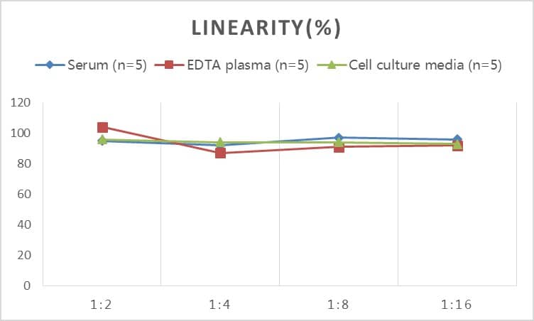 ELISA: Rat Periostin/OSF-2 ELISA Kit (Colorimetric) [NBP2-82144] - Samples were spiked with high concentrations of Rat Periostin/OSF-2 and diluted with Reference Standard & Sample Diluent to produce samples with values within the range of the assay.