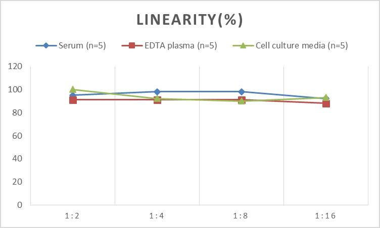 ELISA: Human Reg1B ELISA Kit (Colorimetric) [NBP2-82147] - Samples were spiked with high concentrations of Human Reg1B and diluted with Reference Standard & Sample Diluent to produce samples with values within the range of the assay.