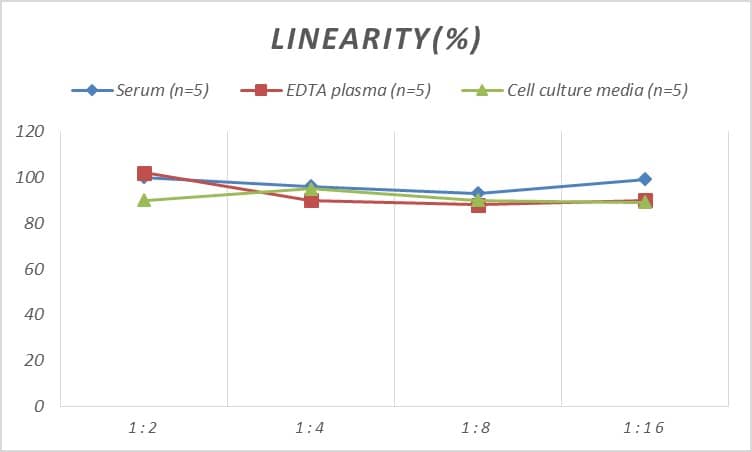 ELISA Rat Reg4 ELISA Kit (Colorimetric)