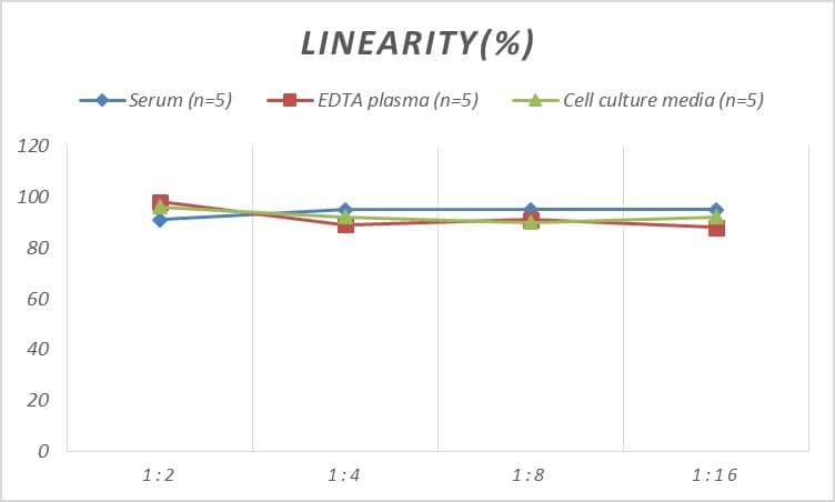 ELISA: Human Relaxin R1/LGR7 ELISA Kit (Colorimetric) [NBP2-82153] - Samples were spiked with high concentrations of Human Relaxin R1/LGR7 and diluted with Reference Standard & Sample Diluent to produce samples with values within the range of the assay.