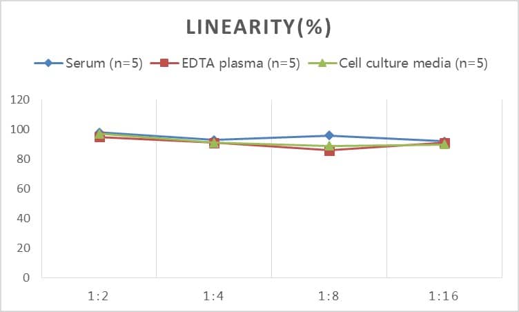 ELISA: Mouse Ceruloplasmin ELISA Kit (Colorimetric) [NBP2-82160] - Samples were spiked with high concentrations of Mouse Ceruloplasmin and diluted with Reference Standard & Sample Diluent to produce samples with values within the range of the assay.