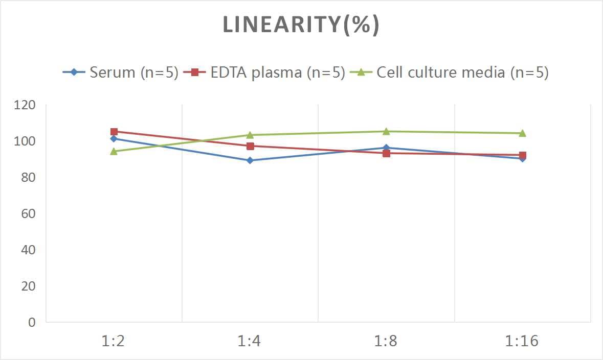 ELISA Human GLP2 ELISA Kit (Colorimetric)