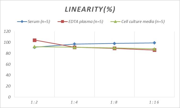 ELISA: Rat GMF-beta ELISA Kit (Colorimetric) [NBP2-82179] - Samples were spiked with high concentrations of Rat GMF-beta and diluted with Reference Standard & Sample Diluent to produce samples with values within the range of the assay.