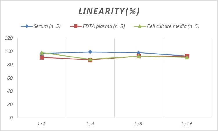 ELISA Rat beta-Galactosidase-1/GLB1 ELISA Kit (Colorimetric)