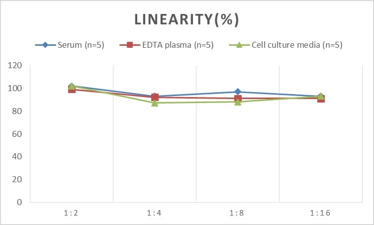 ELISA Rat Granulin ELISA Kit (Colorimetric)