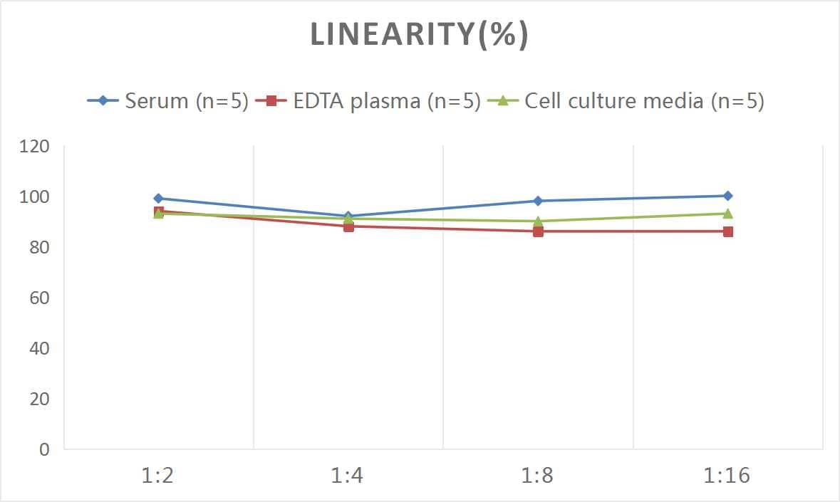 ELISA: Human Glucocorticoid Receptor beta ELISA Kit (Colorimetric) [NBP2-82206] - Samples were spiked with high concentrations of Human Glucocorticoid Receptor beta and diluted with Reference Standard & Sample Diluent to produce samples with values within the range of the assay.