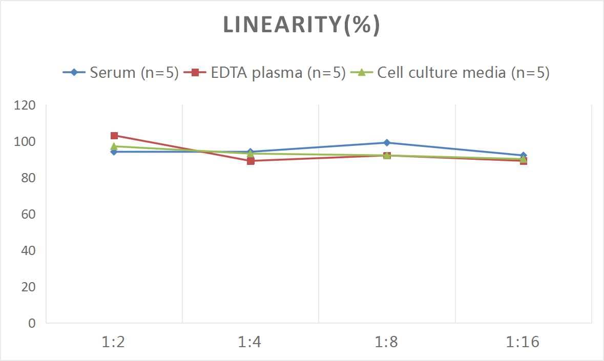 ELISA: Rat Glucocorticoid Receptor beta ELISA Kit (Colorimetric) [NBP2-82208] - Samples were spiked with high concentrations of Rat Glucocorticoid Receptor beta and diluted with Reference Standard & Sample Diluent to produce samples with values within the range of the assay.
