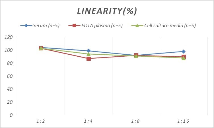 ELISA Rat Hexokinase 1 ELISA Kit (Colorimetric)