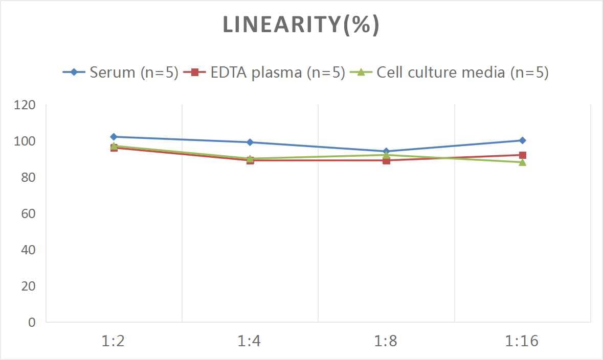 ELISA: Rat FABP2/I-FABP ELISA Kit (Colorimetric) [NBP2-82215] - Samples were spiked with high concentrations of Rat FABP2/I-FABP and diluted with Reference Standard & Sample Diluent to produce samples with values within the range of the assay.