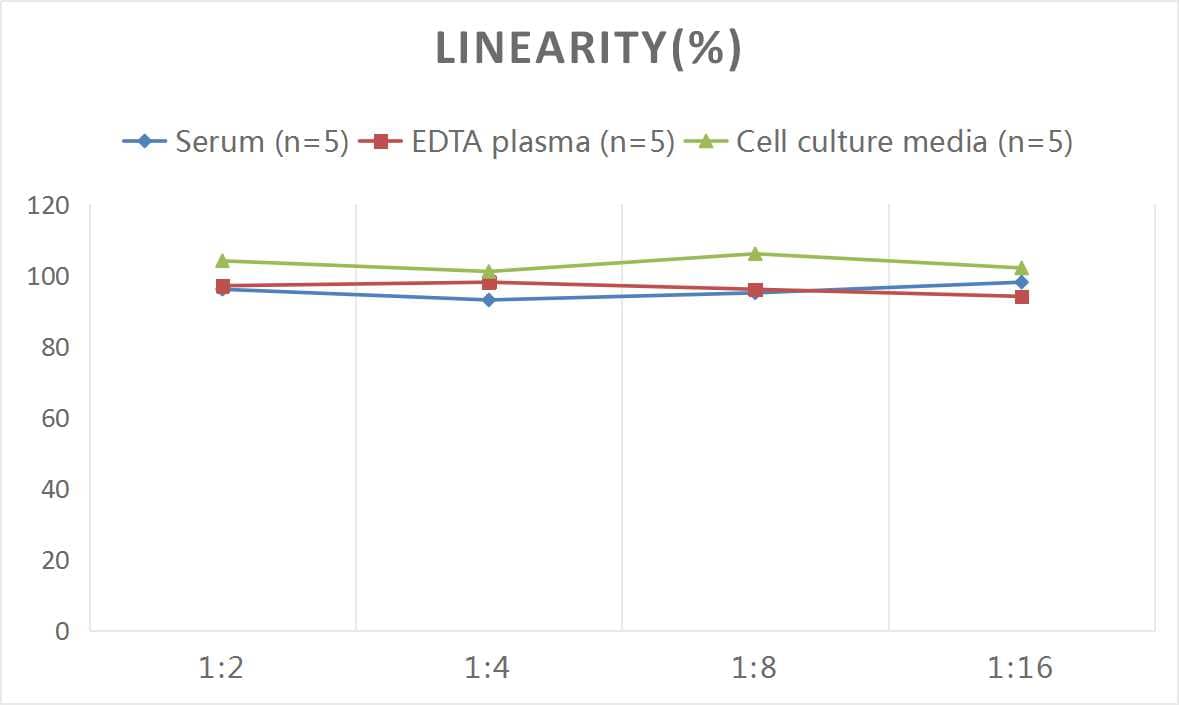 ELISA: Monkey FABP2/I-FABP ELISA Kit (Colorimetric) [NBP2-82219] - Samples were spiked with high concentrations of Monkey FABP2/I-FABP and diluted with Reference Standard & Sample Diluent to produce samples with values within the range of the assay.