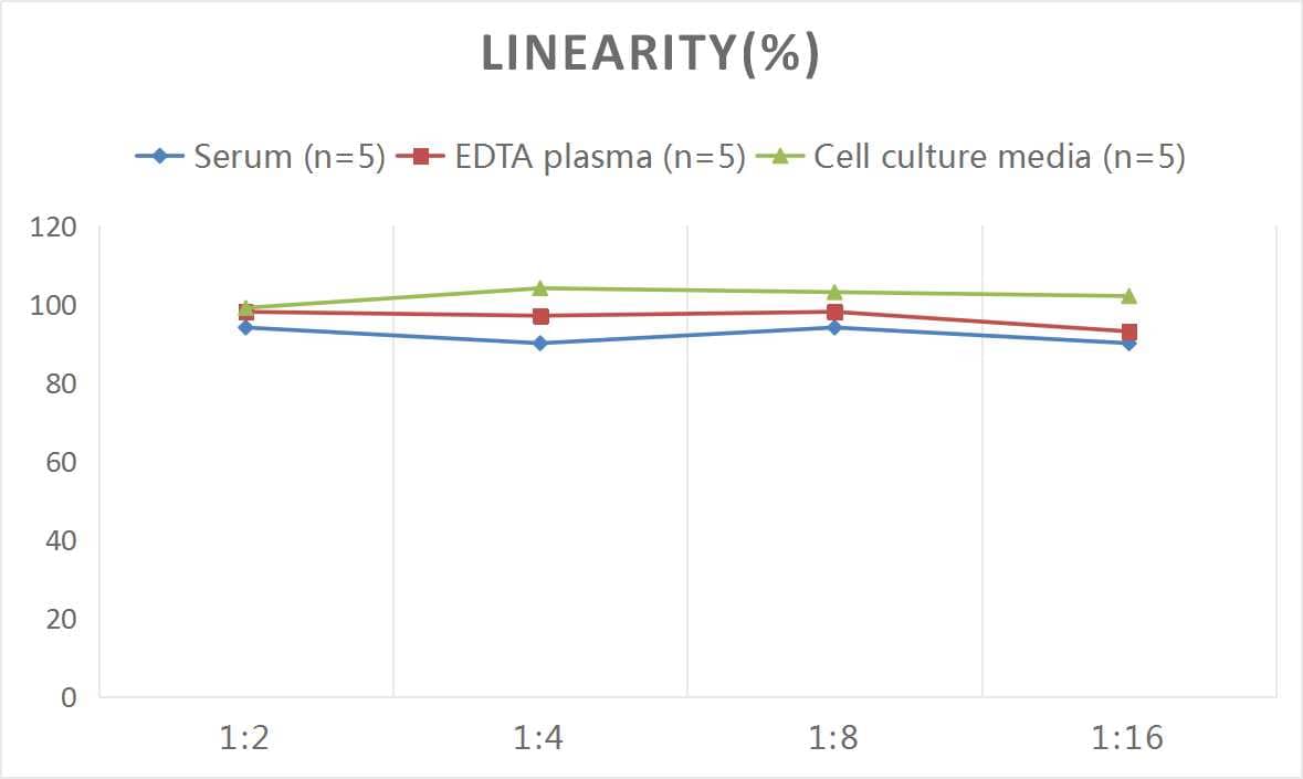 ELISA: Human VIP ELISA Kit (Colorimetric) [NBP2-82390] - Samples were spiked with high concentrations of Human VIP and diluted with Reference Standard & Sample Diluent to produce samples with values within the range of the assay.