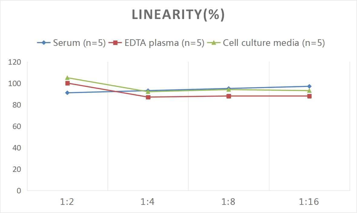 ELISA: Monkey Erythropoietin/EPO ELISA Kit (Colorimetric) [NBP2-82393] - Samples were spiked with high concentrations of Monkey Erythropoietin/EPO and diluted with Reference Standard & Sample Diluent to produce samples with values within the range of the assay.