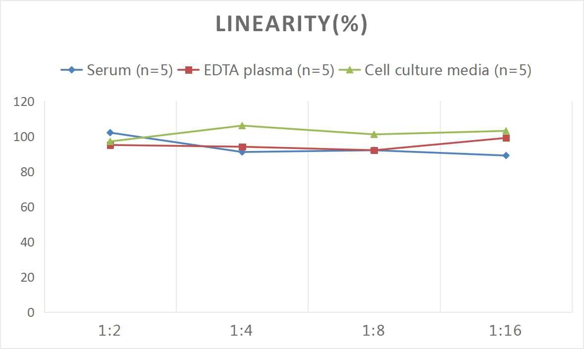 ELISA: Mouse beta CTX ELISA Kit (Colorimetric) [NBP2-82400] - Samples were spiked with high concentrations of Mouse beta CTX and diluted with Reference Standard & Sample Diluent to produce samples with values within the range of the assay.