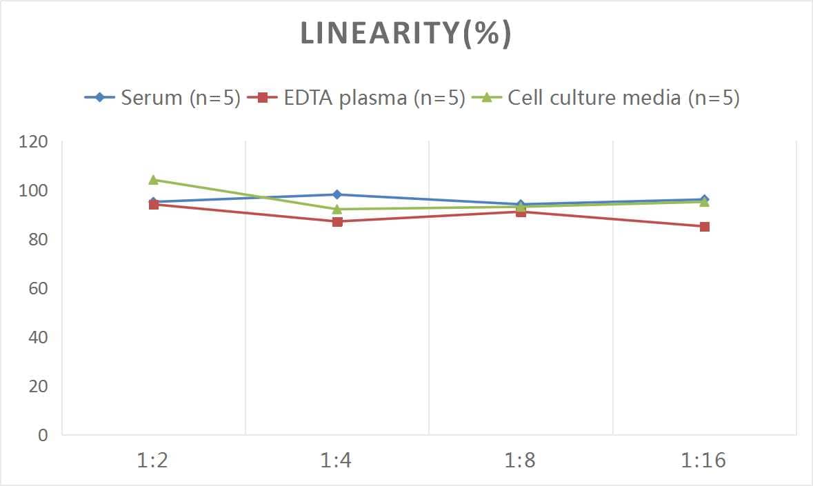 ELISA: Mouse Fatty Acid Synthase/FASN ELISA Kit (Colorimetric) [NBP2-82413] - Samples were spiked with high concentrations of Mouse Fatty Acid Synthase/FASN and diluted with Reference Standard & Sample Diluent to produce samples with values within the range of the assay.