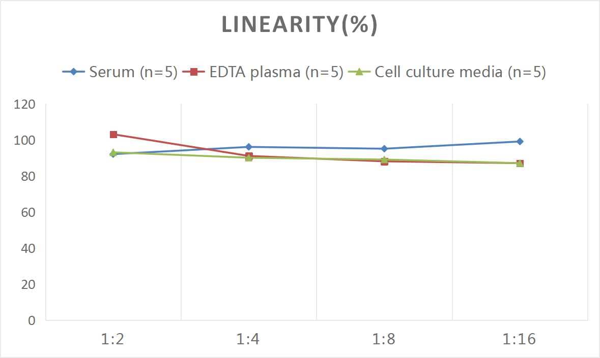 ELISA: Mouse Factor V ELISA Kit (Colorimetric) [NBP2-82414] - Samples were spiked with high concentrations of Mouse Factor V and diluted with Reference Standard & Sample Diluent to produce samples with values within the range of the assay.