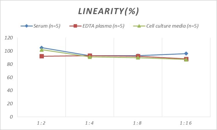 ELISA Mouse Glycogen phosphorylase, muscle form ELISA Kit (Colorimetric)