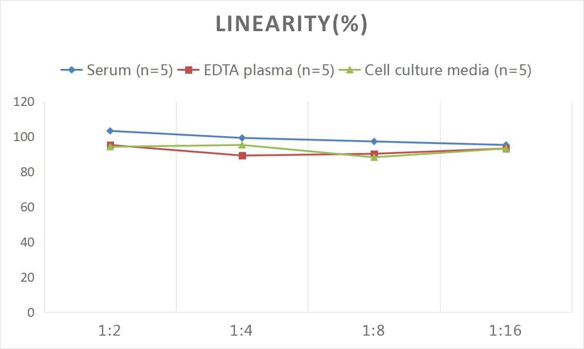 ELISA: Mouse Pancreatic Polypeptide/PP ELISA Kit (Colorimetric) [NBP2-82418] - Samples were spiked with high concentrations of Mouse Pancreatic Polypeptide/PP and diluted with Reference Standard & Sample Diluent to produce samples with values within the range of the assay.